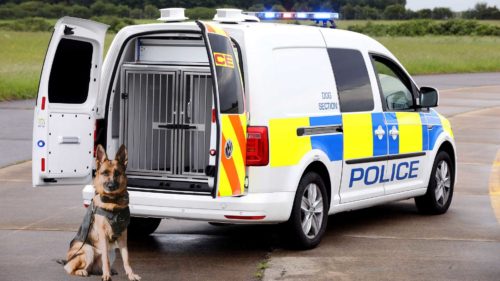 Фургон Volkswagen для полицейских собак