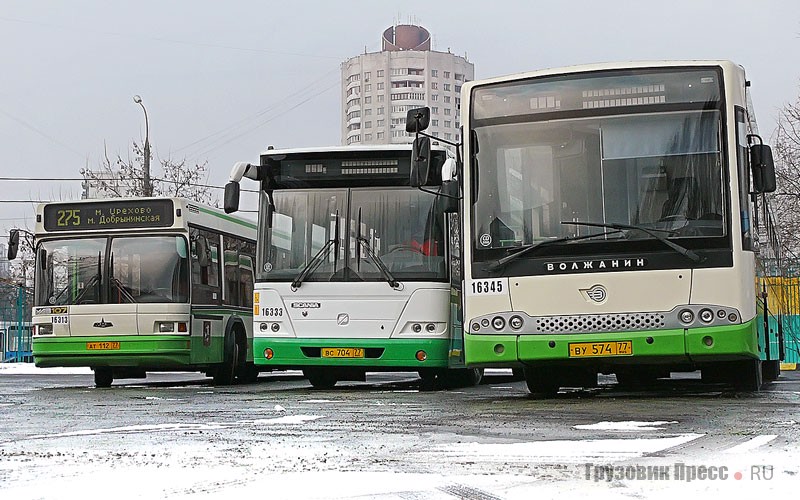 Городские автобусы