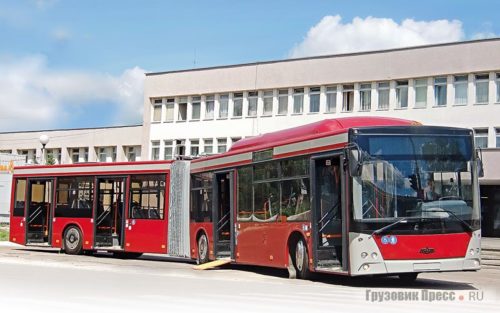Автобус МАЗ-205069