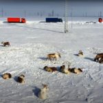 КАМАЗы-беспилотники прошли испытание в Арктике
