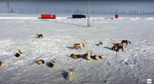 КАМАЗы-беспилотники прошли испытание в Арктике