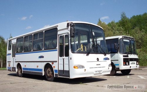 Автобусы из Павлово