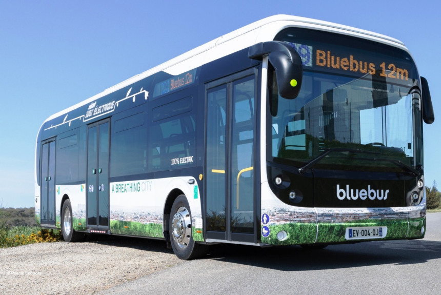 Bluebus+Volgabus