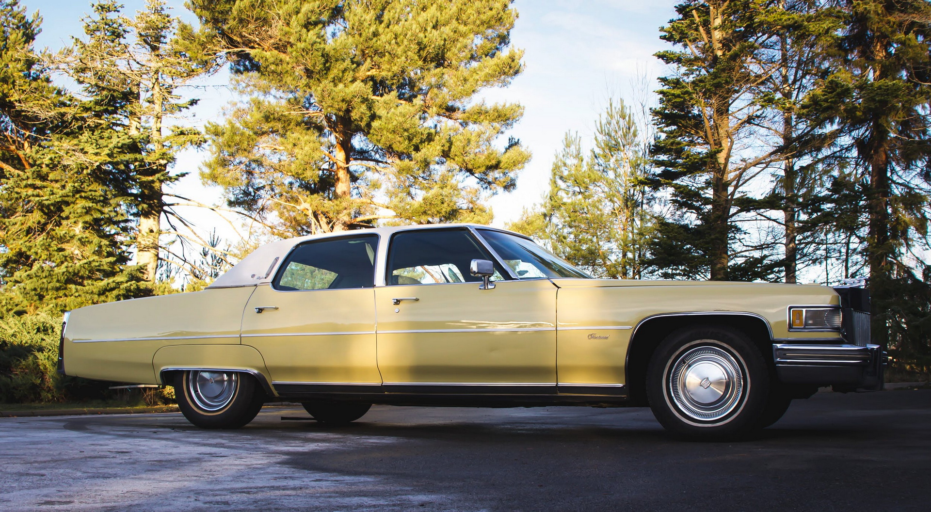 Cadillac Fleetwood Элвиса Пресли выставлен на торги